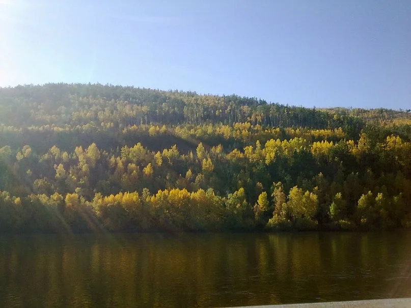 image - 2019-11-01T083025.085.webp