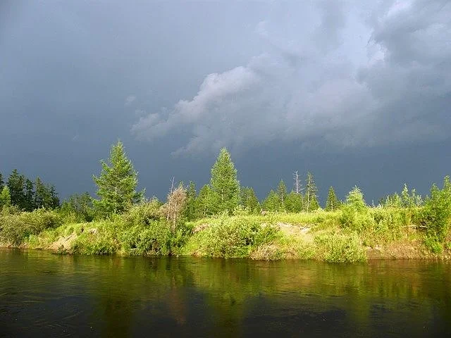 image - 2019-11-01T083044.746.webp