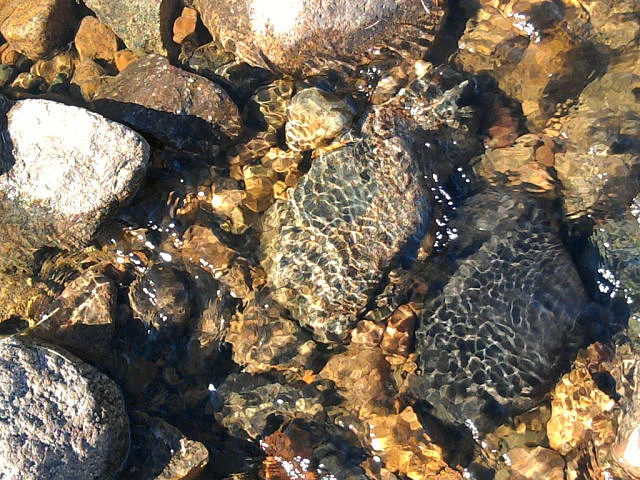 image - 2019-11-01T083053.225.webp