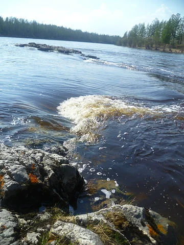 image - 2019-11-01T083107.504.webp