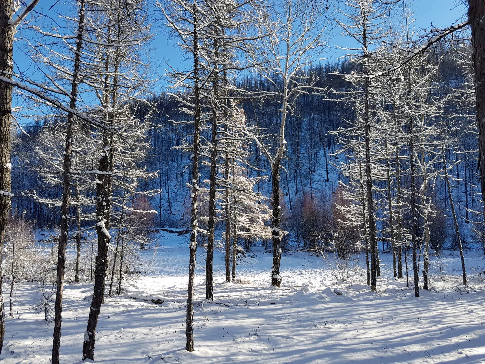 image - 2019-11-01T201054.837.webp