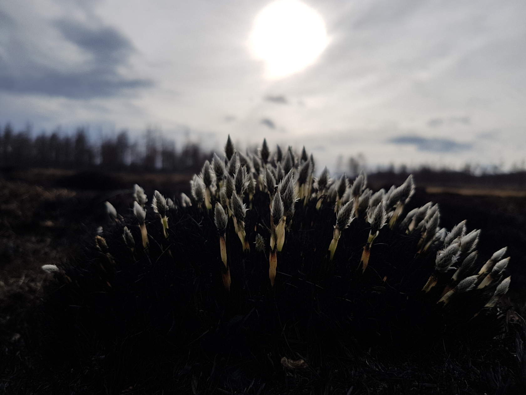 image - 2019-11-01T201240.061.jpeg