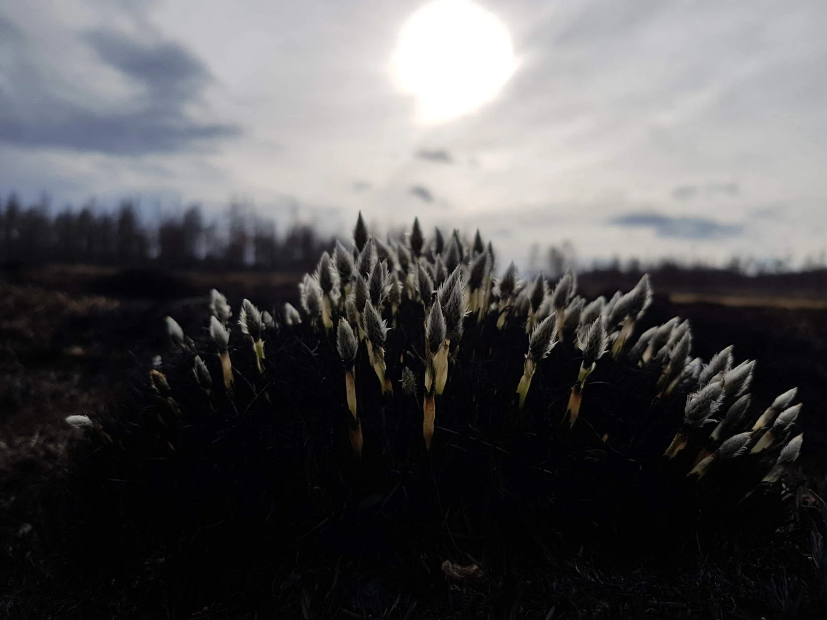 image - 2019-11-01T201240.061.webp