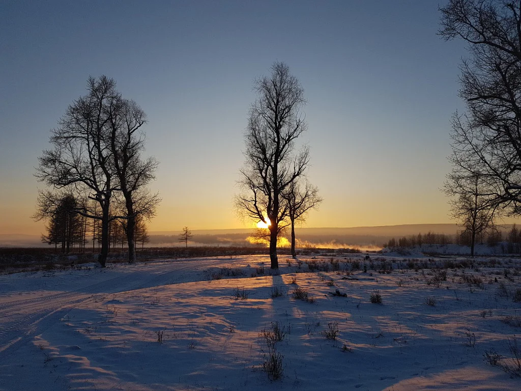 image - 2019-11-01T201339.006.webp