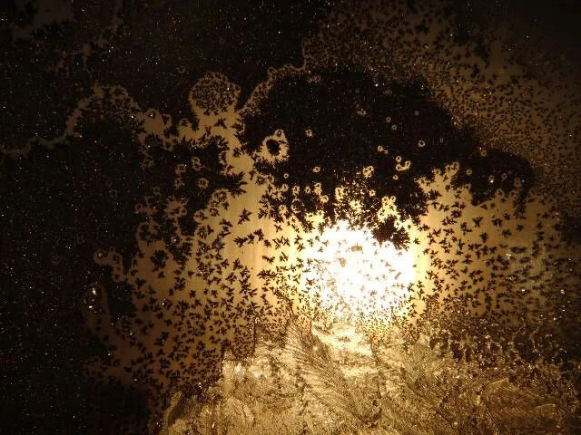 image - 2019-11-01T201551.663.jpeg