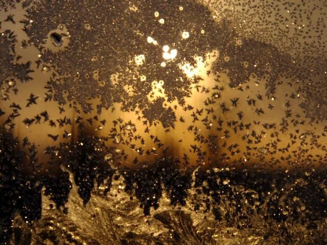 image - 2019-11-01T201606.393.webp