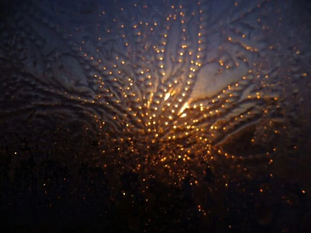 image - 2019-11-01T201618.593.webp