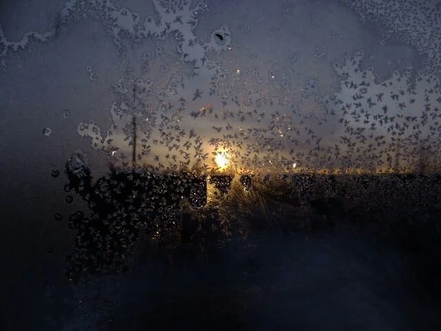 image - 2019-11-01T201627.137.jpeg