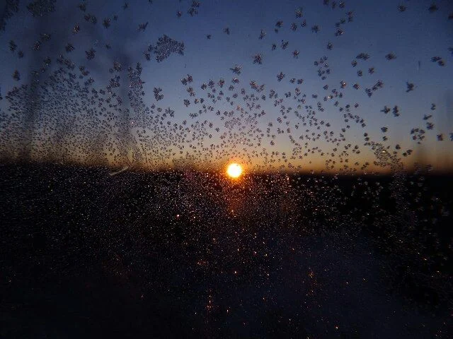 image - 2019-11-01T201640.364.webp