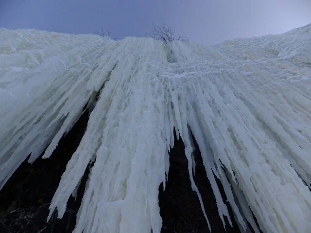 image - 2019-11-01T201705.343.webp