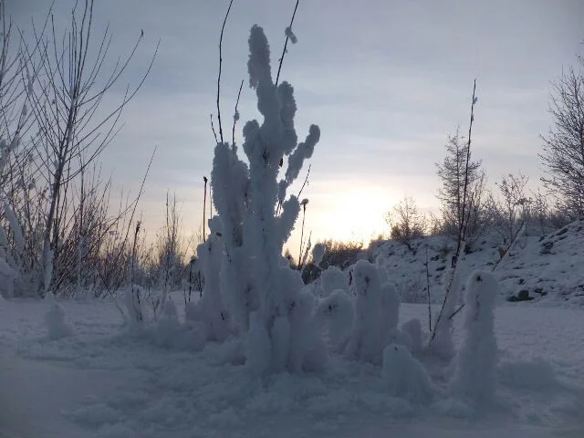 image - 2019-11-01T202055.431.webp