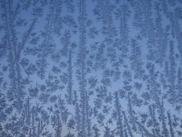 image - 2019-11-01T202130.726.jpeg