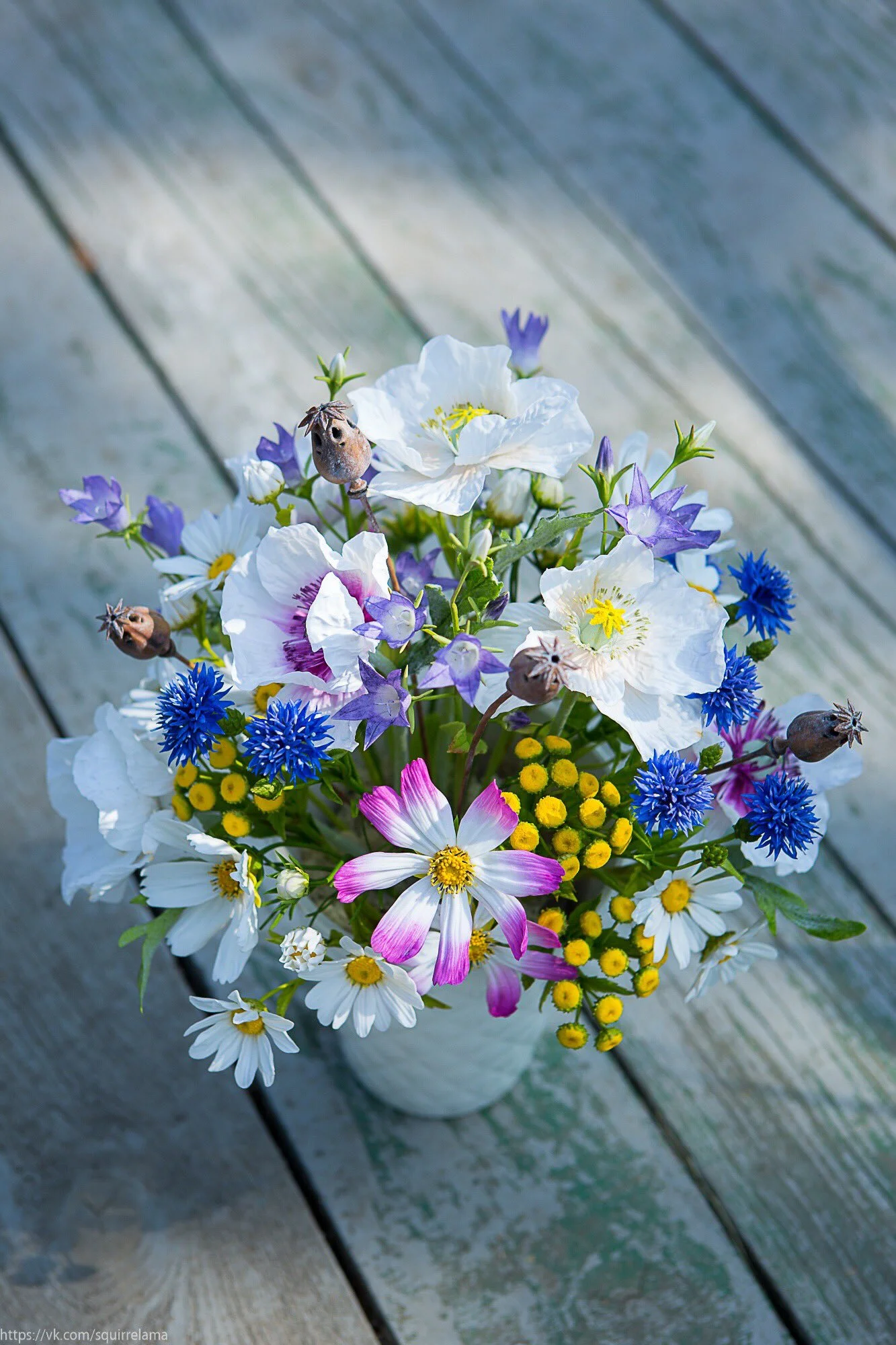 image - 2019-11-11T220030.847.webp