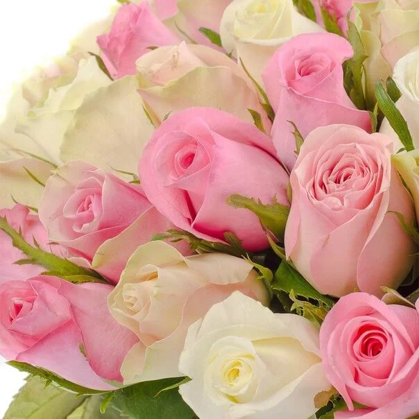 image - 2019-11-13T083557.574.webp