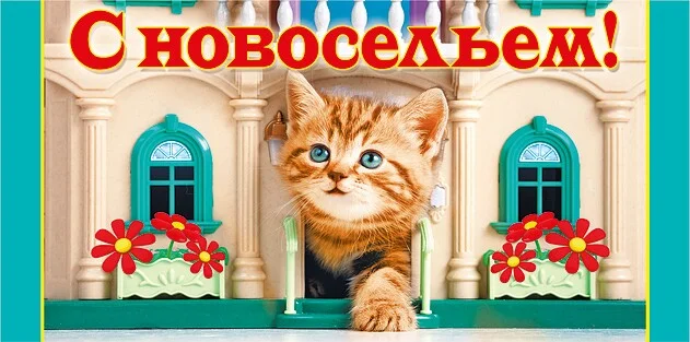 image - 2019-11-26T213633.505.webp