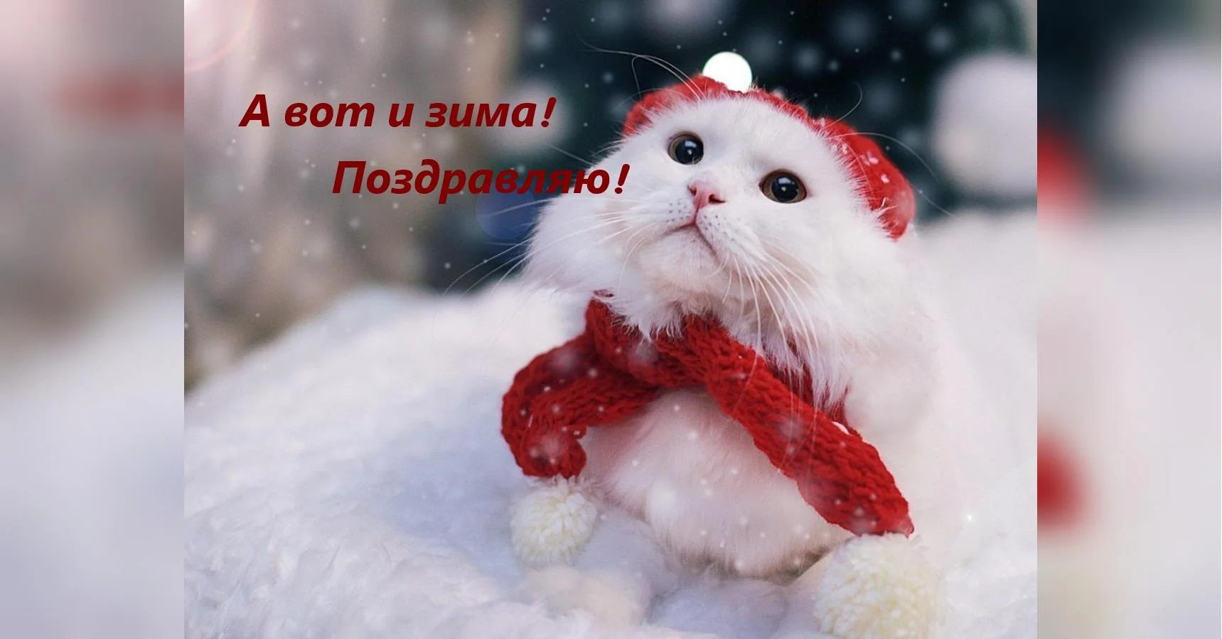 image - 2019-12-01T112511.343.webp