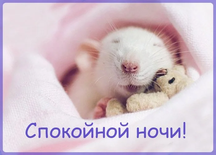 image - 2019-12-04T224431.132.webp