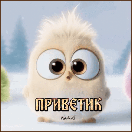 image - 2019-12-07T191018.728.GIF