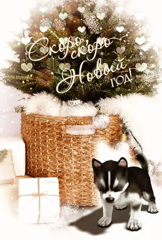 image - 2019-12-28T223624.773.webp