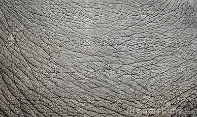 image (202).webp