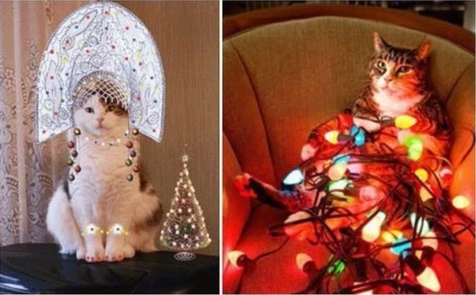 image - 2020-01-04T005514.716.webp