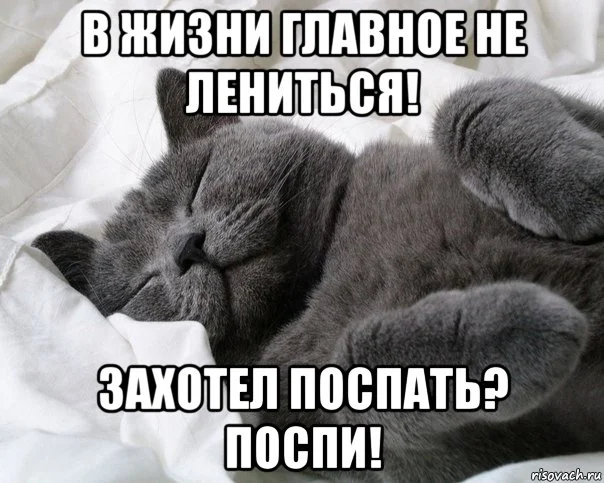 image - 2020-01-04T133036.309.webp