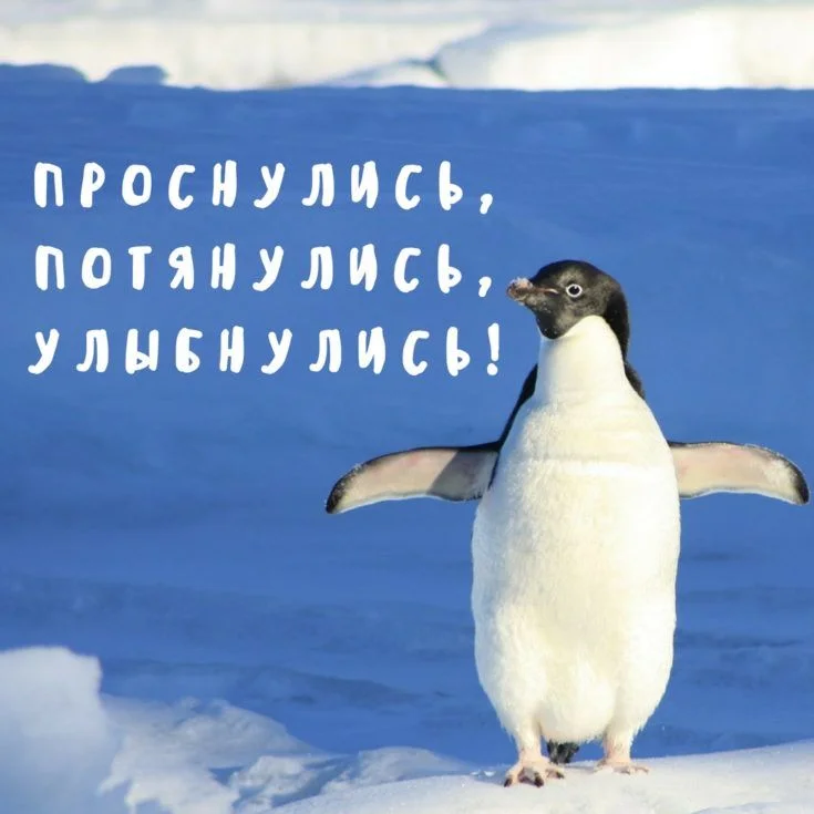 image - 2020-01-07T111036.396.webp