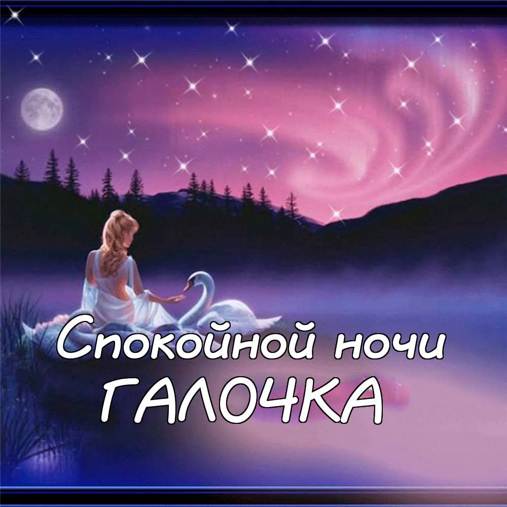 image - 2020-01-13T225927.438.webp