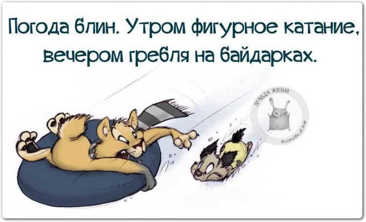 image - 2020-01-15T224924.182.webp