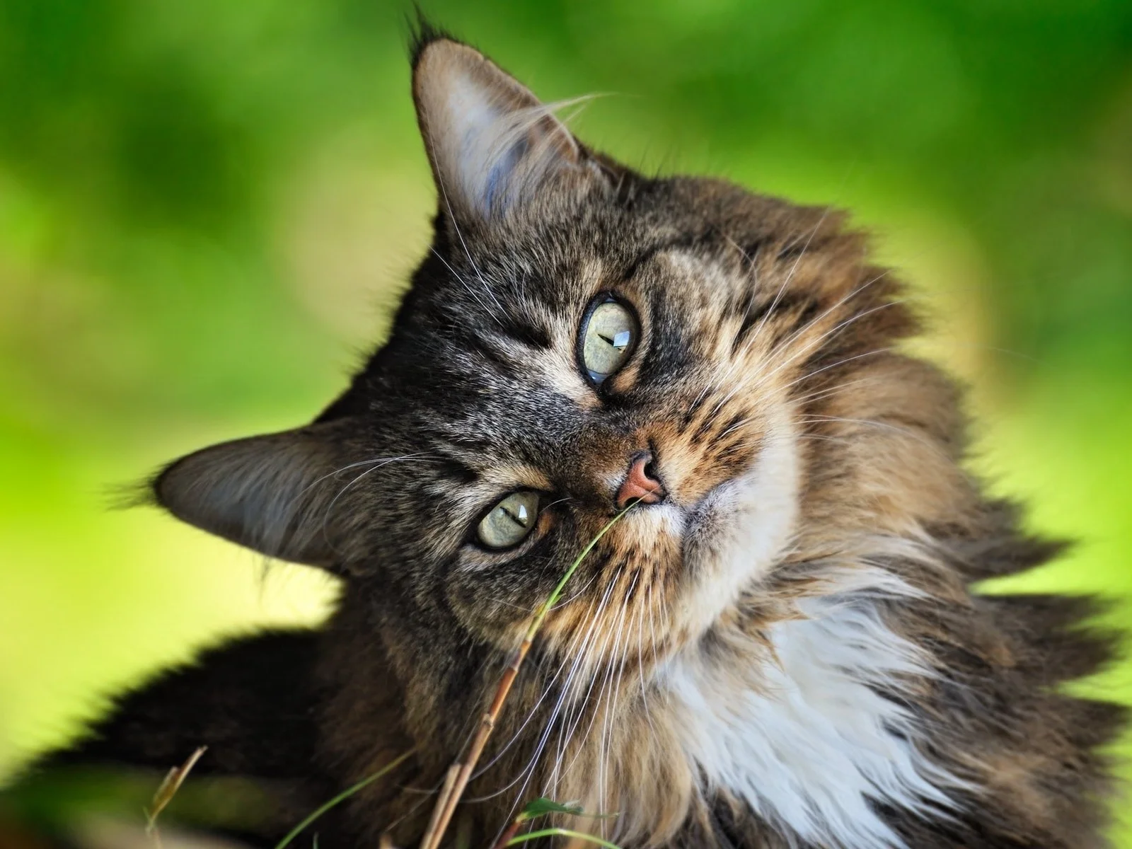 image - 2020-01-20T212812.081.jpg