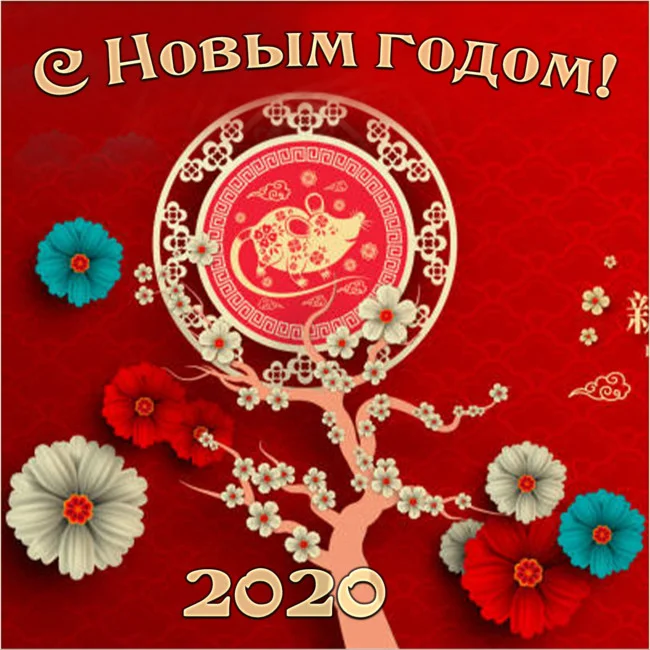 image - 2020-01-24T082239.968.webp