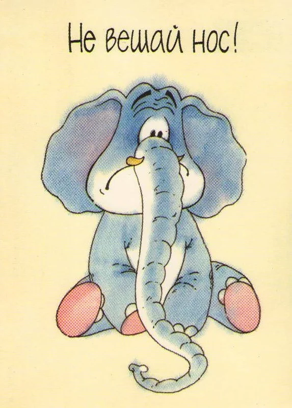 image - 2020-01-29T235150.683.webp