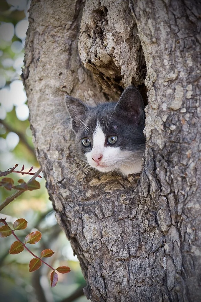 image - 2020-02-01T225039.923.webp