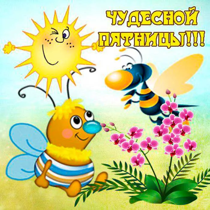 image - 2020-02-07T084344.335.webp