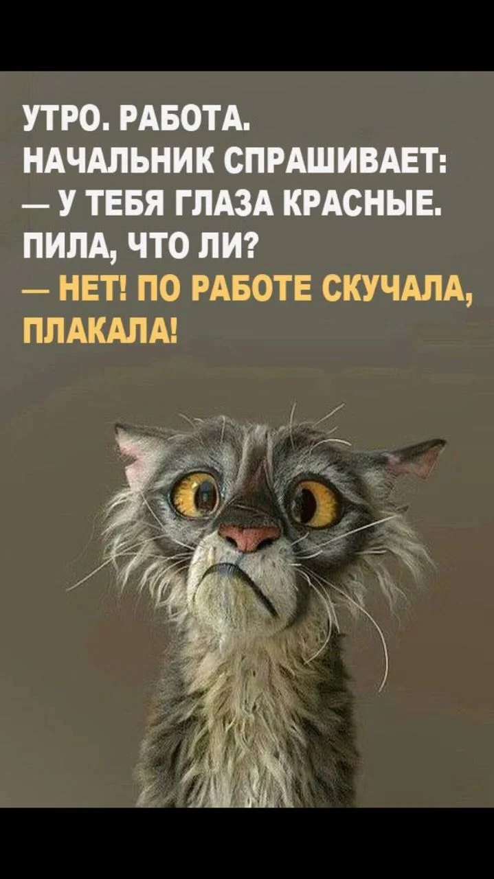 image - 2020-02-10T003246.931.webp