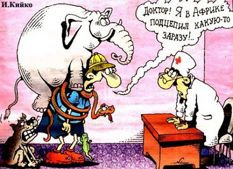 image - 2020-02-13T002431.019.webp