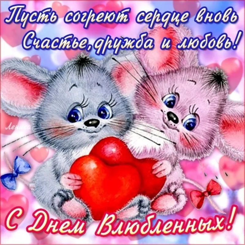 image - 2020-02-14T084819.496.webp