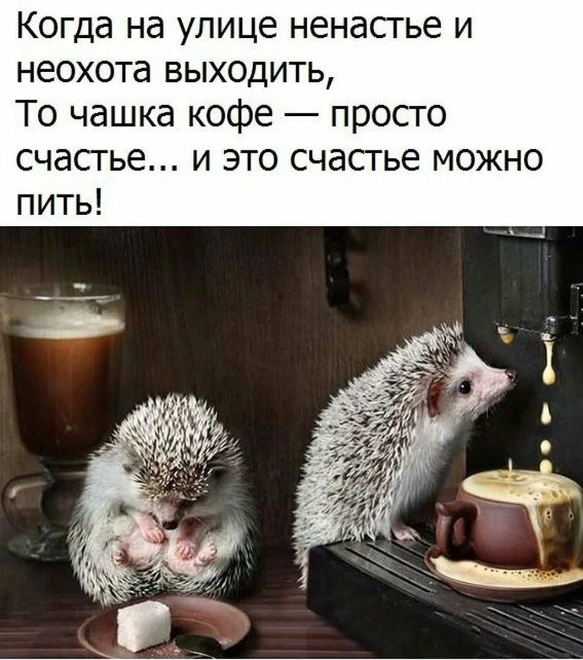 image - 2020-02-15T221852.240.webp