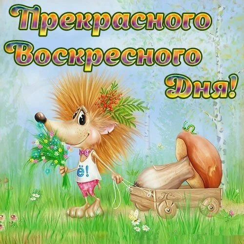 image - 2020-02-16T134735.673.webp