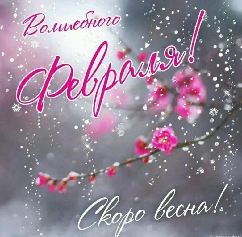 image - 2020-02-26T081230.249.webp