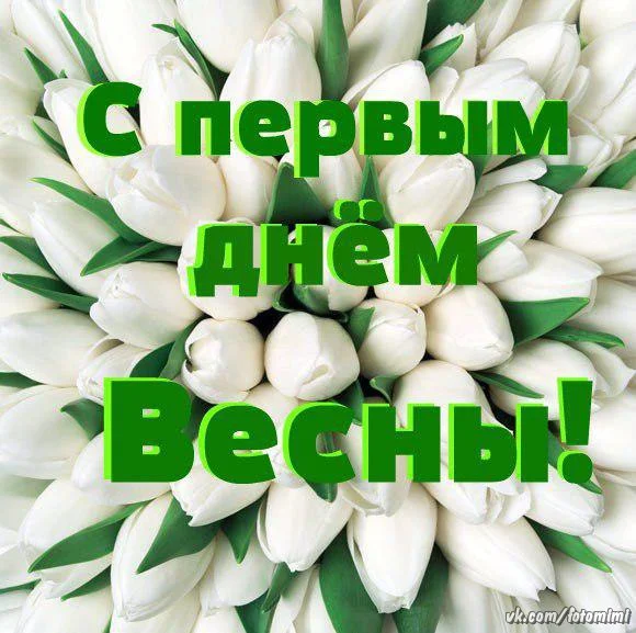 image - 2020-03-01T101650.007.webp