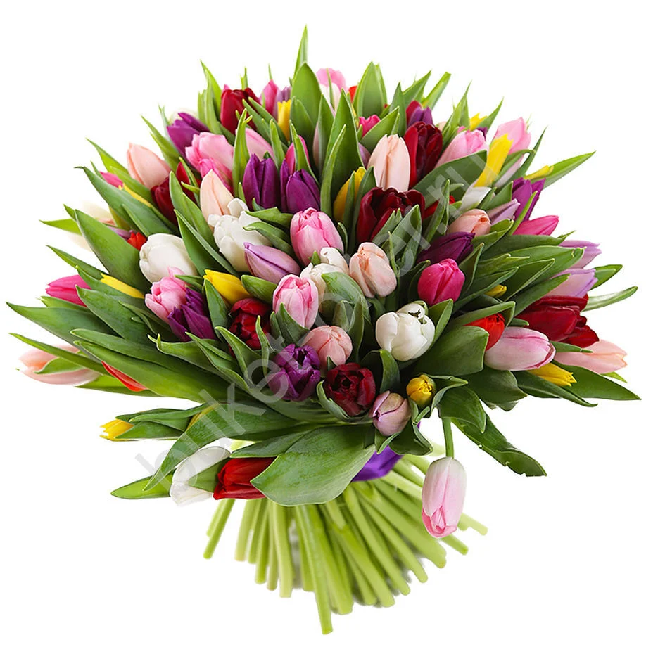 image - 2020-03-01T104601.273.webp