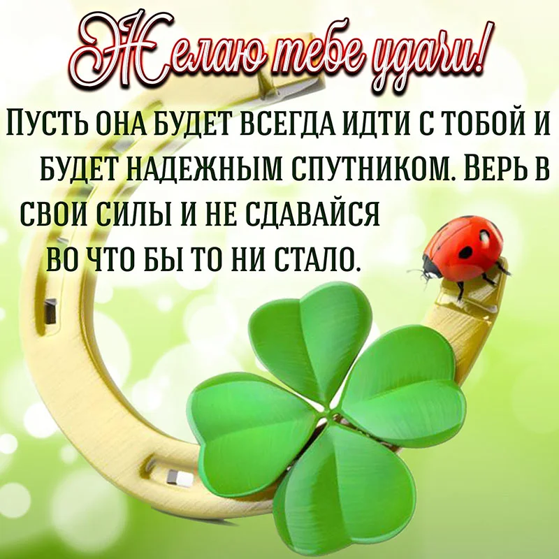 image - 2020-03-03T185245.995.webp