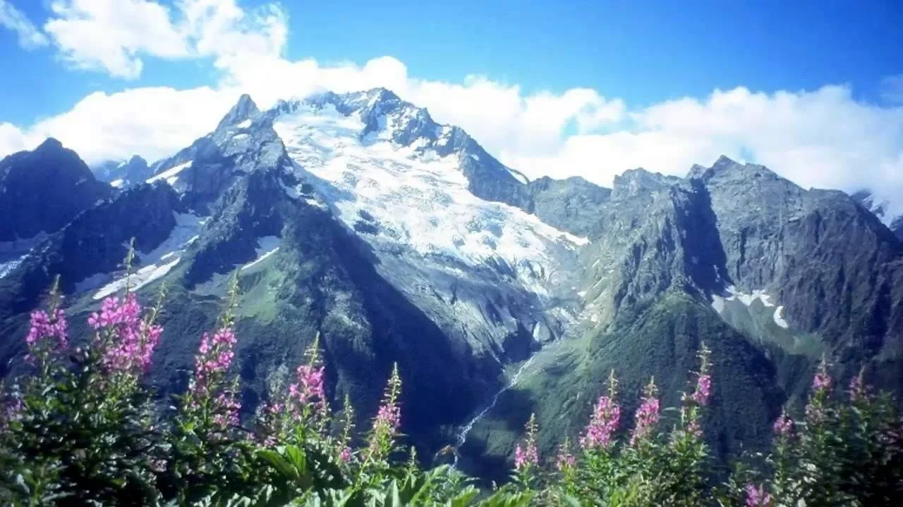 image - 2020-03-06T200807.767.webp