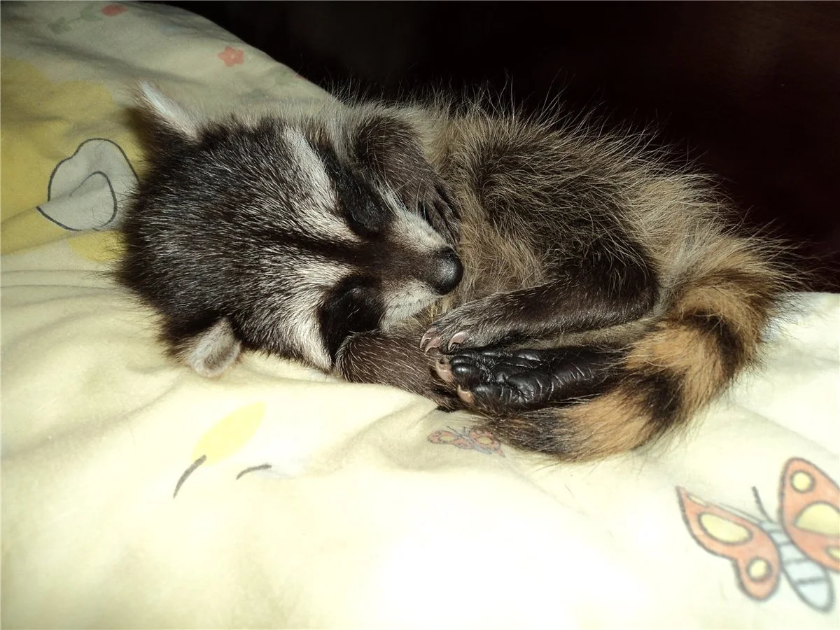 image - 2020-03-14T000414.132.webp