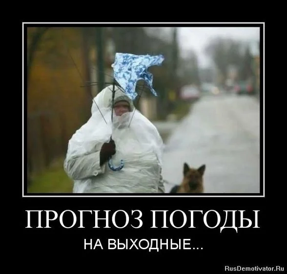 image - 2020-03-14T215837.126.jpg