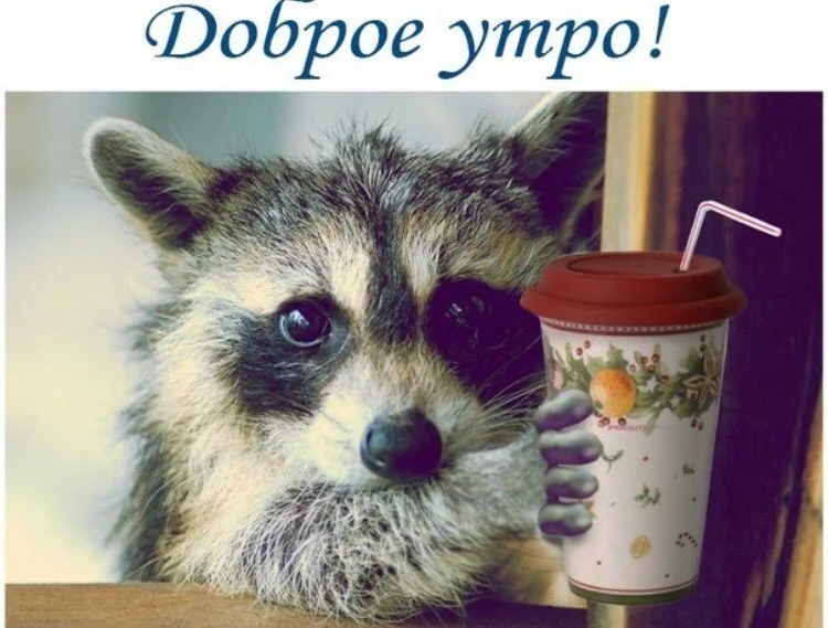 image - 2020-03-15T103833.247.webp