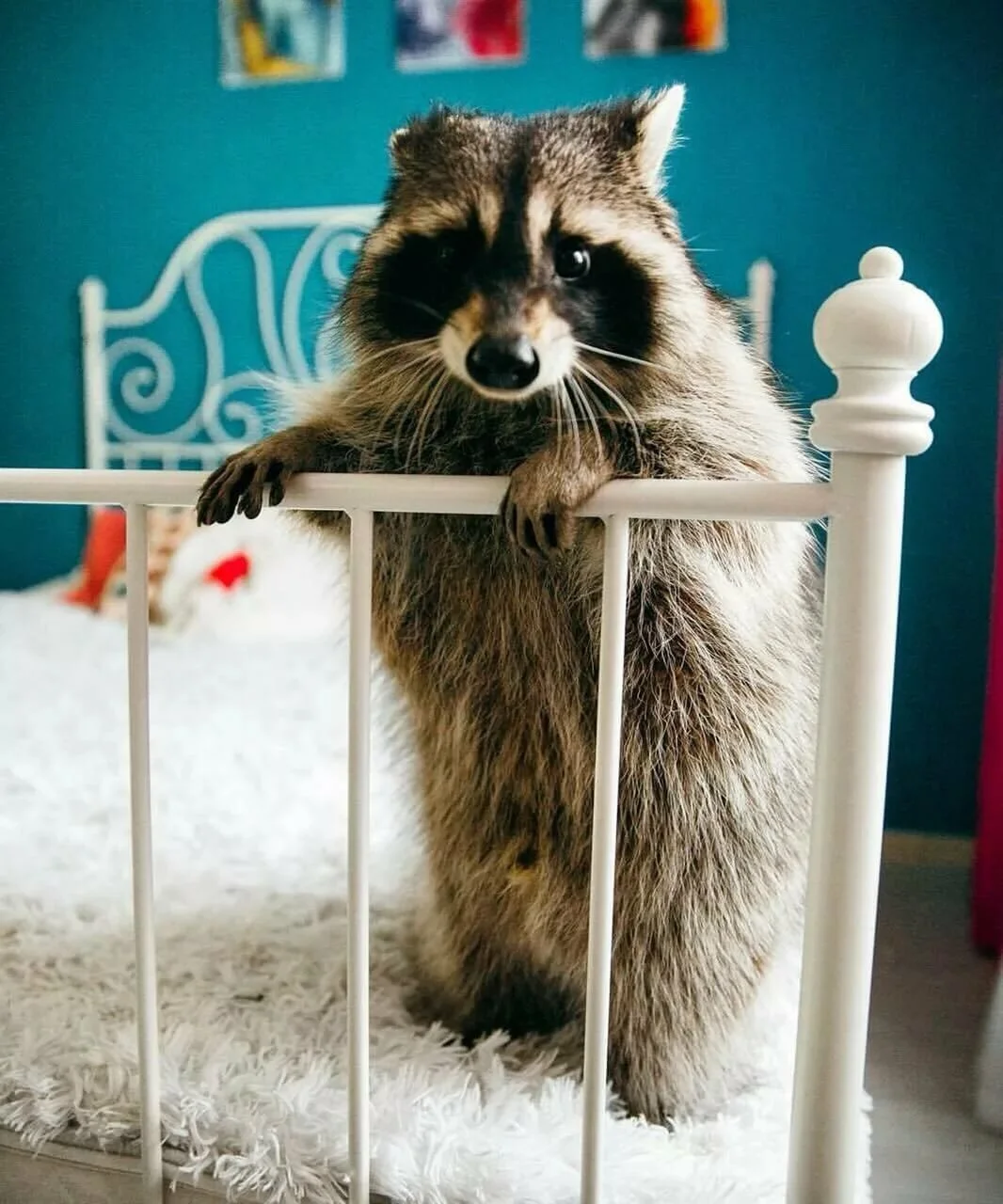 image - 2020-03-18T084243.527.webp