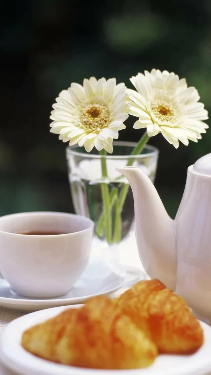 image - 2020-03-24T084940.931.webp