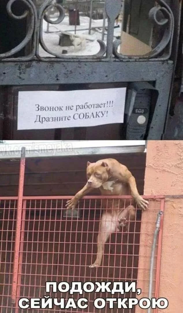 image - 2020-03-25T220201.085.webp